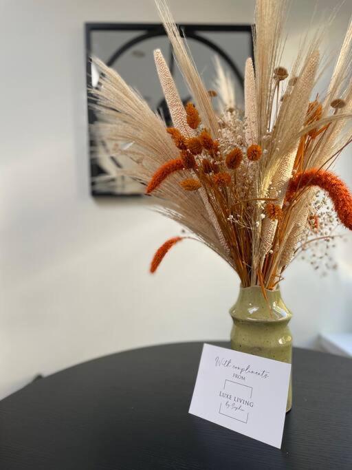 New Luxury For 2024 - Central Plymouth House - Sleeps 10 - Access To Plymouth Town - Close To The Barbican - Pets Welcome - Parking Available - By Luxe Living By Sophia Ngoại thất bức ảnh
